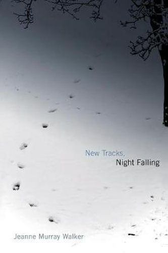 Cover image for New Tracks, Night Falling