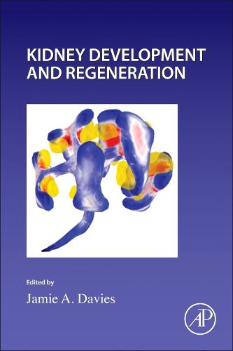 Cover image for Kidney Development and Regeneration: Volume 163