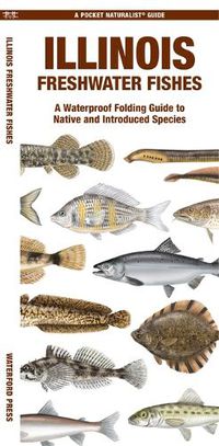 Cover image for Illinois Freshwater Fishes