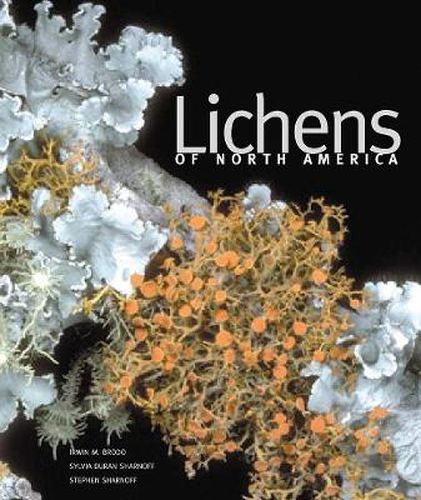 Cover image for Lichens of North America