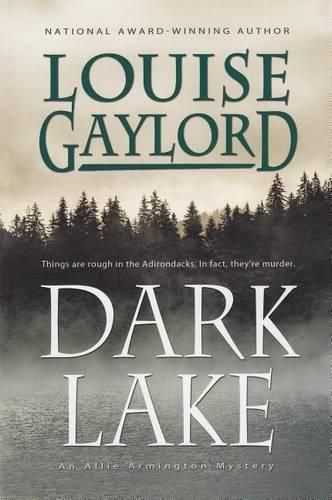 Cover image for Dark Lake