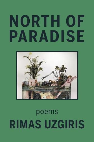 Cover image for North of Paradise