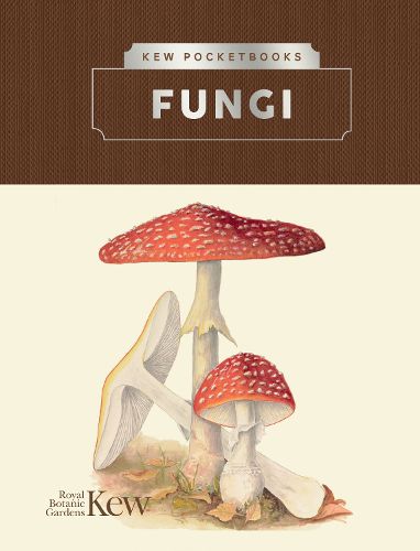 Cover image for Kew Pocketbooks: Fungi