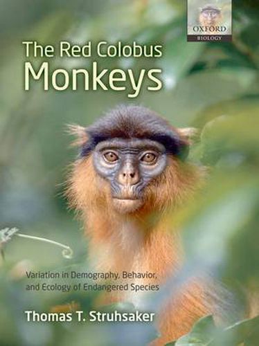 Cover image for The Red Colobus Monkeys: Variation in Demography, Behavior, and Ecology of Endangered Species