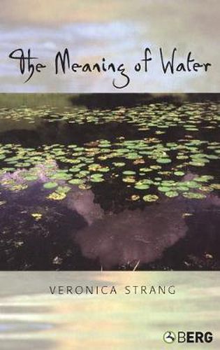 Cover image for The Meaning of Water