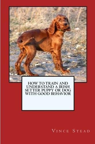 Cover image for How to Train and Raise a Irish Setter Puppy or Dog with Good Behavior