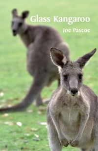 Cover image for Glass Kangaroo