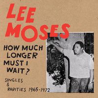 Cover image for How Much Longer Must I Wait: Singles And Rarities 1965--72