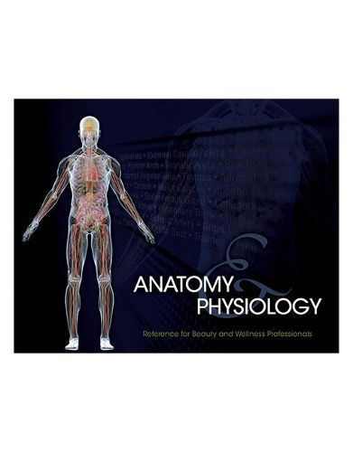 Cover image for Bundle: Milady Standard Cosmetology, 13th + Student Reference for Anatomy & Physiology, 2nd + Theory Workbook for Milady Standard Cosmetology, 13th + Exam Review for Milady Standard Cosmetology, 13th