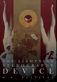 Cover image for The Lightning Stenography Device