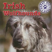 Cover image for Irish Wolfhounds