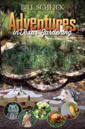 Cover image for Adventures in Texas Gardening