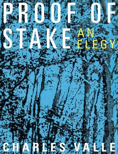 Cover image for Proof of Stake: An Elegy