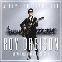 Cover image for A Love So Beautiful