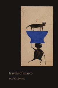 Cover image for Travels of Marco