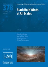 Cover image for Black Hole Winds at All Scales (IAU S378)