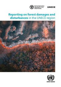 Cover image for Reporting on Forest Damages and Disturbances in the Unece Region