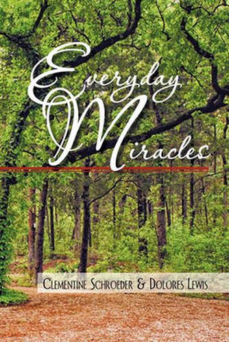 Cover image for Everyday Miracles