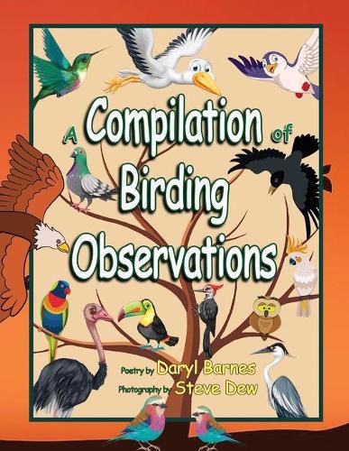 Cover image for A Compilation of Birding Observations