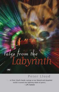 Cover image for Tales from the Labyrinth / The Stone Ladder