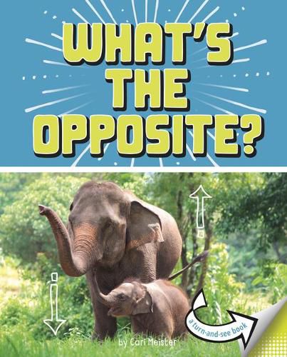 Cover image for What's The Opposite: A Turn-And-See Book