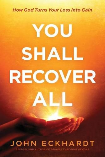 Cover image for You Shall Recover All