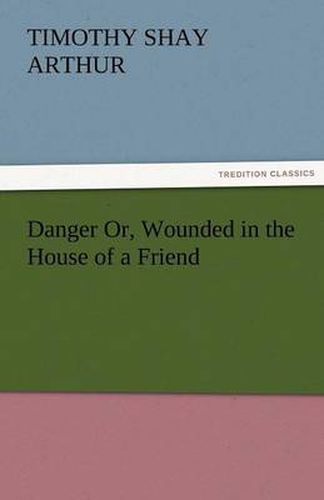 Cover image for Danger Or, Wounded in the House of a Friend