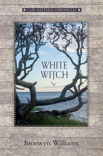 Cover image for White Witch