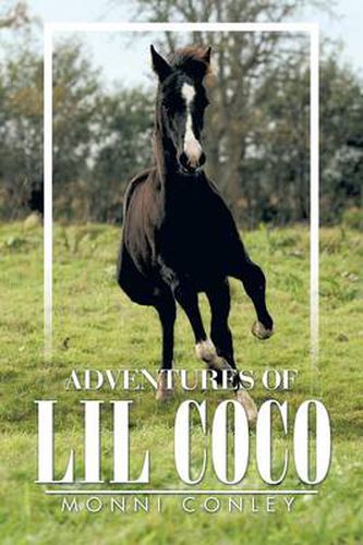 Cover image for Adventures of Lil Coco