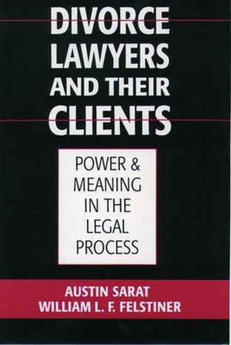 Cover image for Divorce Lawyers and Their Clients: Power and Meaning in the Legal Process