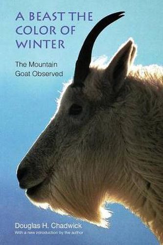 Cover image for A Beast the Color of Winter: The Mountain Goat Observed