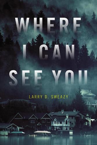 Cover image for Where I Can See You