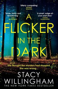 Cover image for A Flicker in the Dark