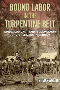 Cover image for Bound Labor in the Turpentine Belt