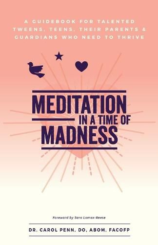 Cover image for Meditation in a Time of Madness: A Guidebook for Talented Tweens, Teens, Their Parents & Guardians Who Need to Thrive