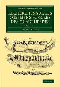 Cover image for Recherches sur les ossemens fossiles des quadrupedes