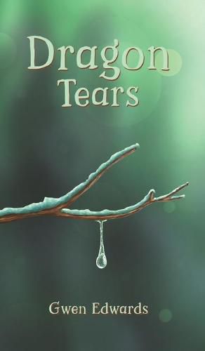 Cover image for Dragon Tears