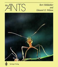 Cover image for The Ants