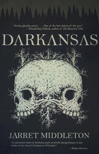 Cover image for Darkansas