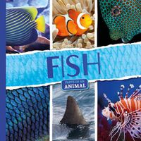 Cover image for Fish