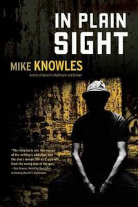 Cover image for In Plain Sight