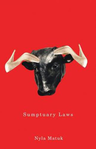Cover image for Sumptuary Laws