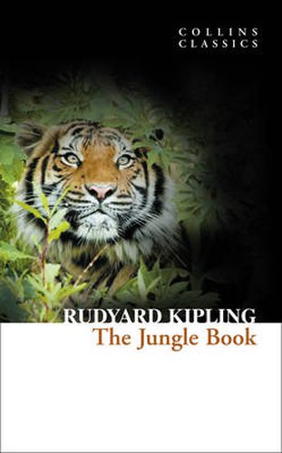 Cover image for The Jungle Book