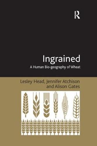 Cover image for Ingrained: A Human Bio-geography of Wheat