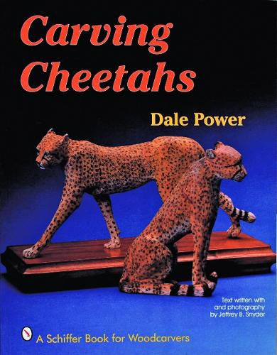 Cover image for Carving the Cheetah