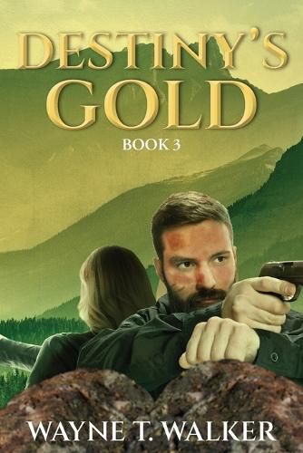 Cover image for Diamonds From Destiny