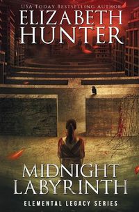 Cover image for Midnight Labyrinth
