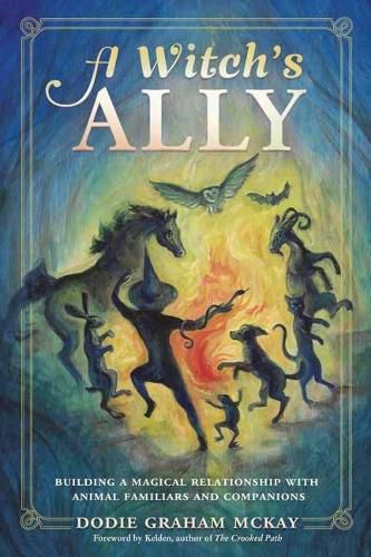 Cover image for A Witch's Ally