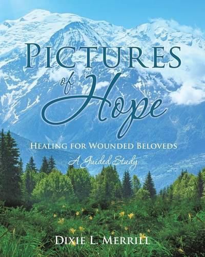 Cover image for Pictures of Hope