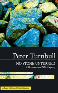 Cover image for No Stone Unturned